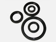 Special oil seal for gear reducer of gear reducer